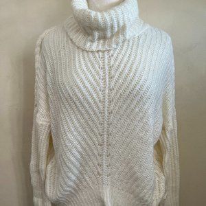 Express cream color turtleneck sweater
